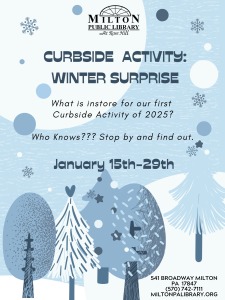 Curbside Activity: Winter Surprise